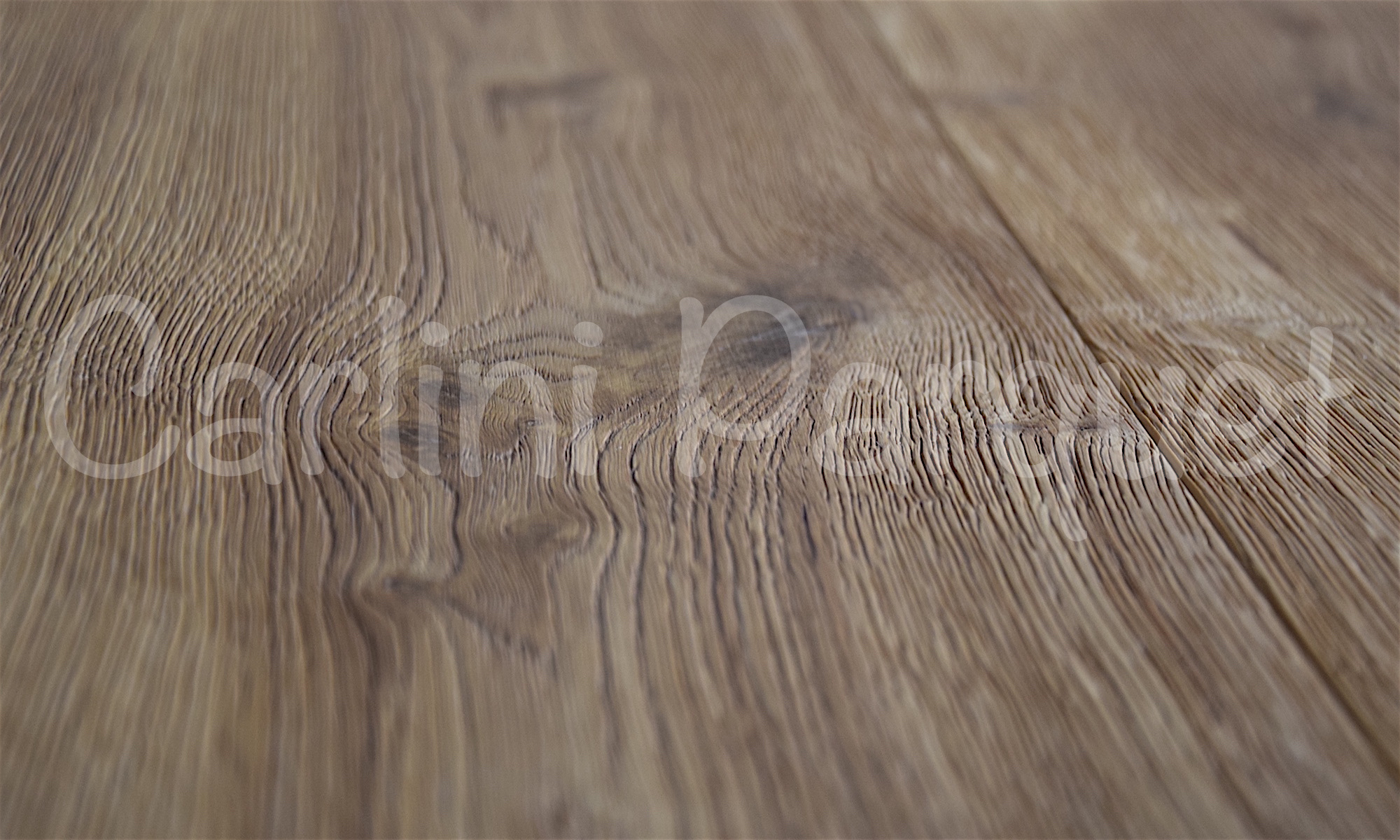 Le Essenze (Specie Legnose) selezionate dalla Carlini Parquet sono tutte conformi alle normative internazionali di tutela del patrimonio forestale, di seguito vengono elencate, con la rispettiva Denominazione, Denominazione botanica, Area geografica di vegetazione, Durezza Consigliamo di visionare dal vivo Parquet Carlini, per cogliere al meglio l'originalità e l'autenticità del prodotto in "Vera Essenza". Caratteristiche altrimenti non apprezzabili da riproduzioni fotografiche.
